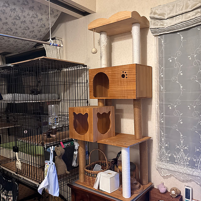 sakuraさんの実例写真