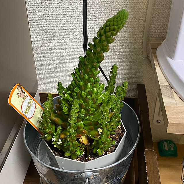 korokoroさんの実例写真