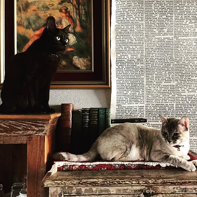 Naoki.さんの実例写真