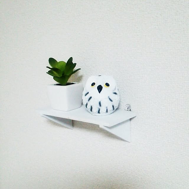 Hajimeさんの実例写真