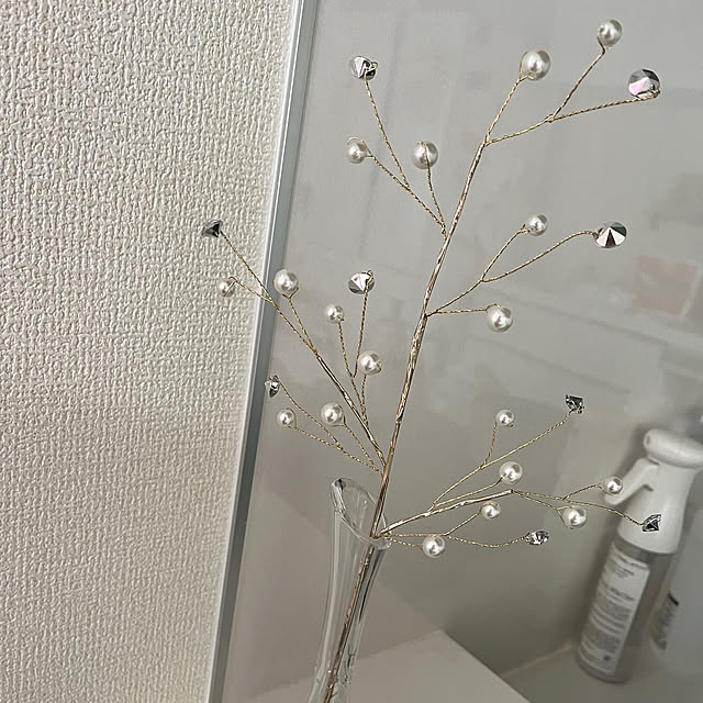 SHIOmamaさんの実例写真