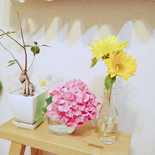 misaさんの実例写真