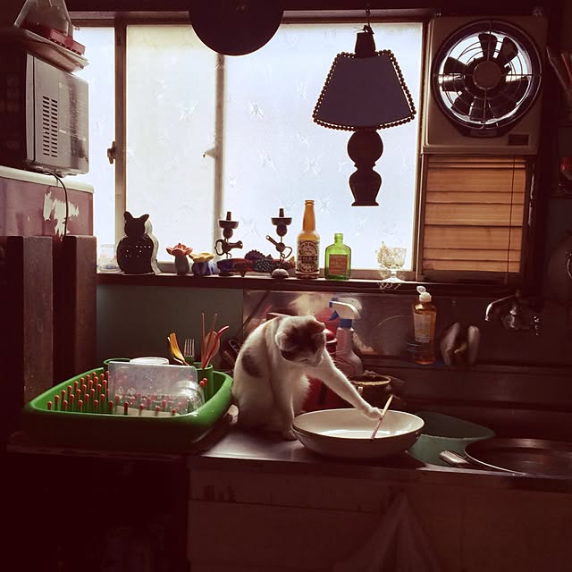Hazukiさんの実例写真