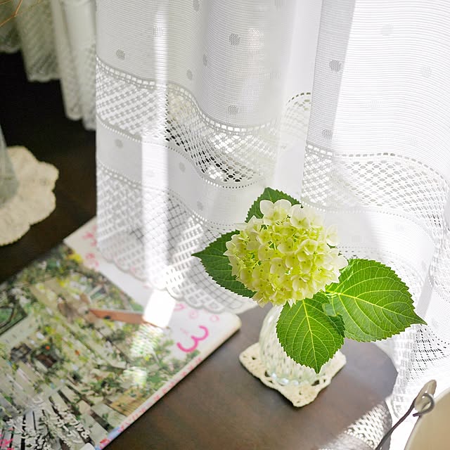 haruisabelさんの実例写真