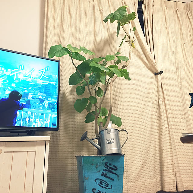 meyさんの実例写真