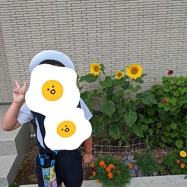 akipanmanさんの実例写真