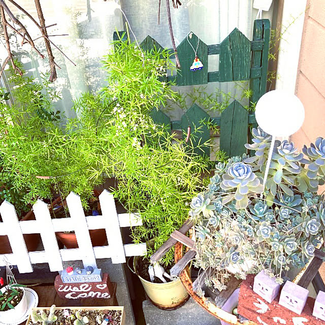 takakoさんの部屋