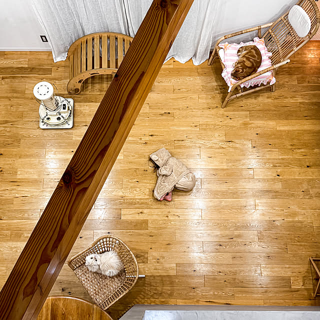 shiiiさんの実例写真