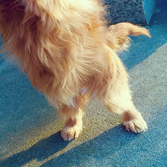 sakuさんの実例写真
