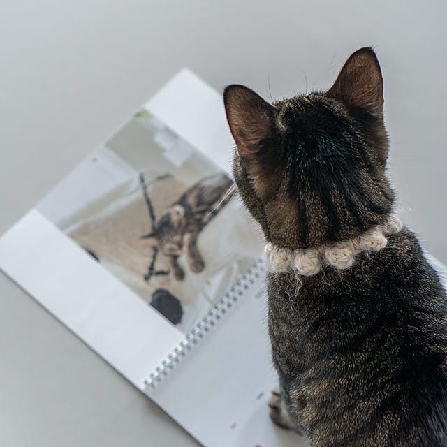 oliveさんの実例写真