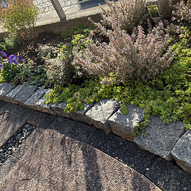 omasaさんの部屋