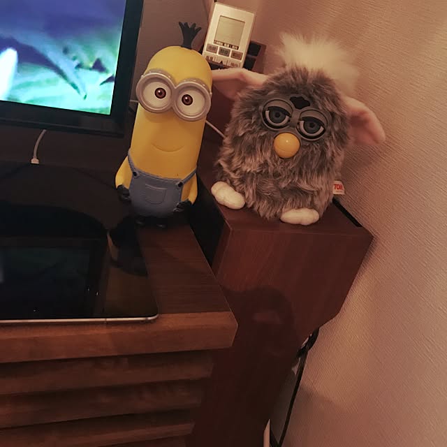 AYAKAさんの実例写真