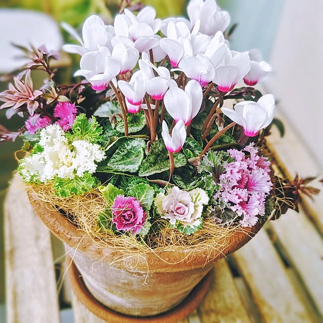 YuriYuriさんの部屋