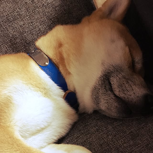 kotaさんの実例写真