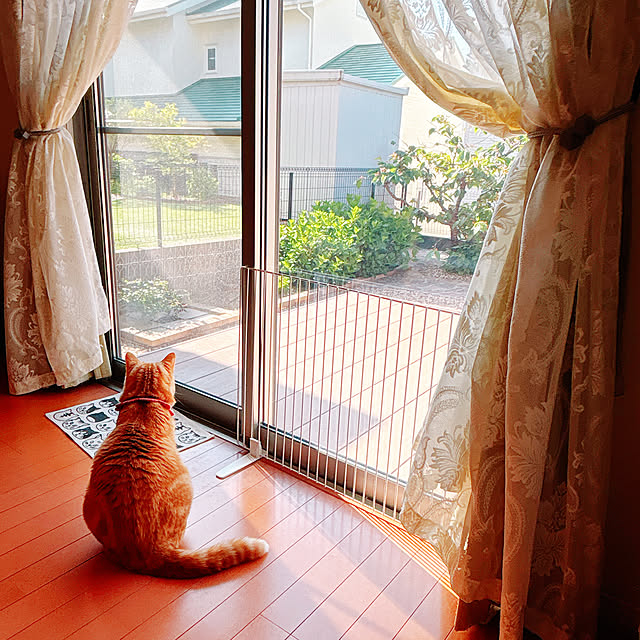 moolさんの実例写真