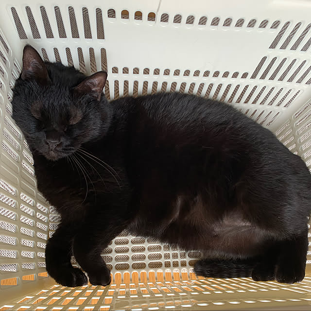 kuromiさんの実例写真