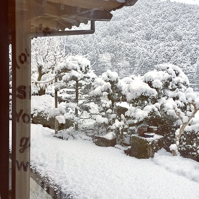 mamyuさんの実例写真