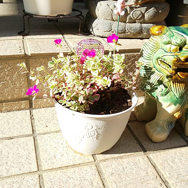 yumiyumiさんの部屋