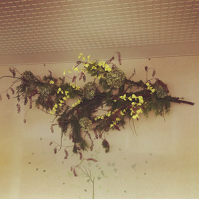 scabiosa1982さんの実例写真