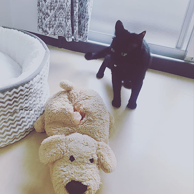 mrngさんの実例写真