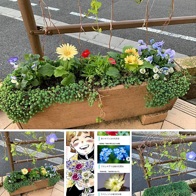 tabasaさんの実例写真