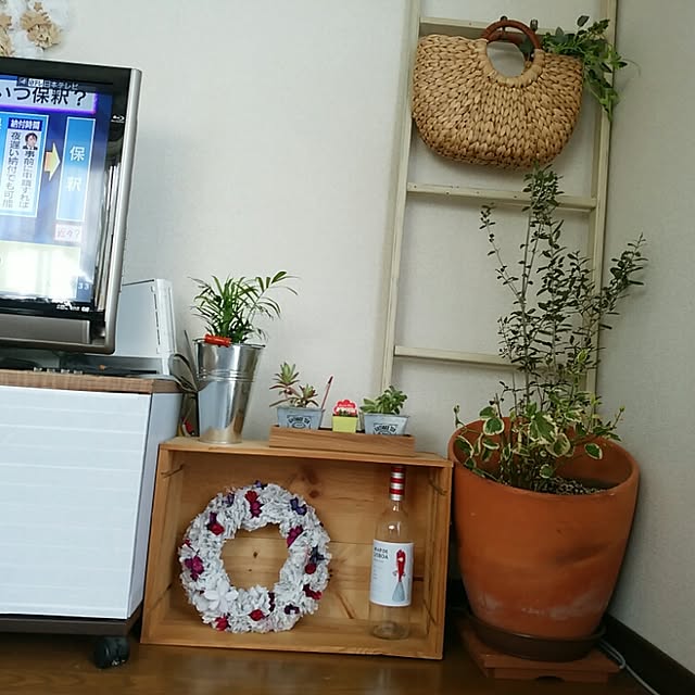 taikoさんの実例写真