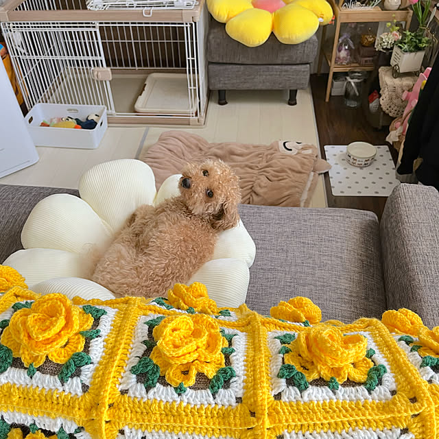 eriharuさんの部屋