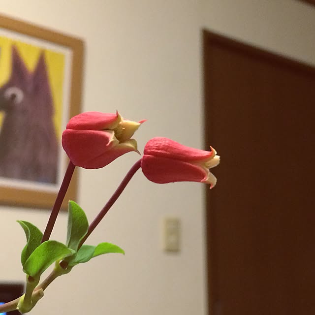 reo29さんの実例写真