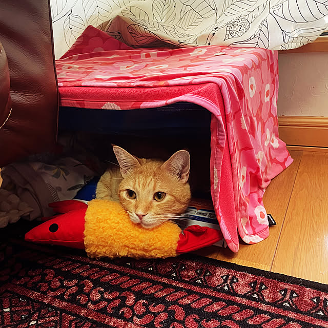 okogeさんの実例写真