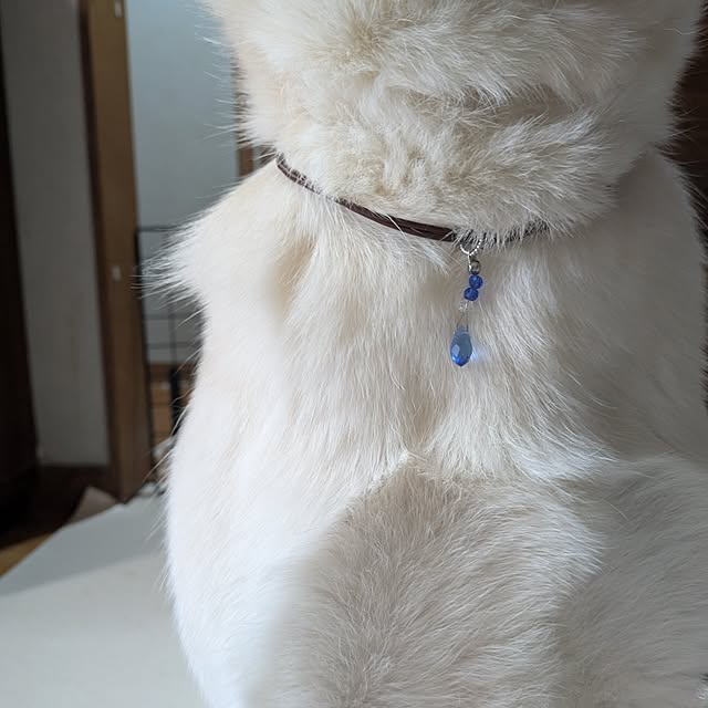 asaさんの部屋