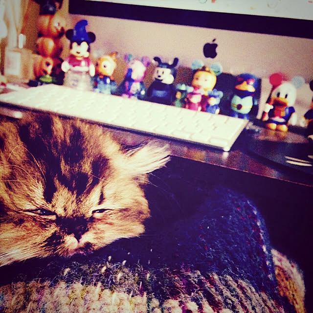 Soleilさんの実例写真