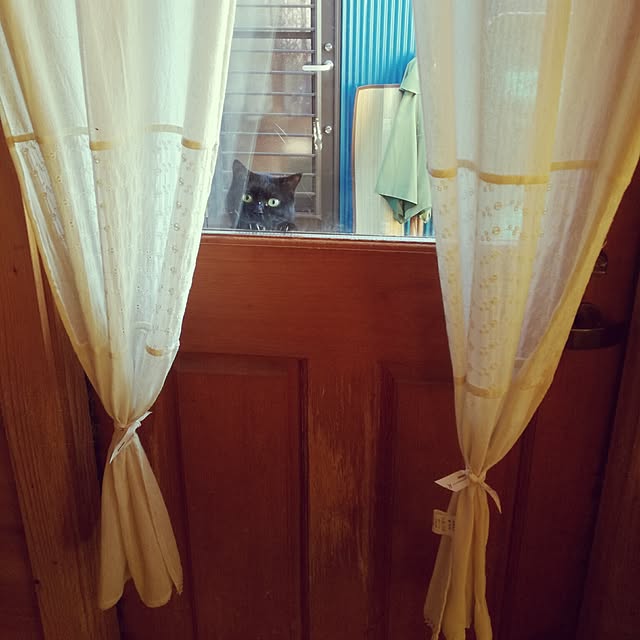 Maki-nekomamireさんの実例写真