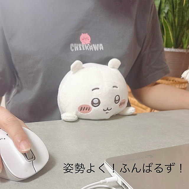 KirinPandaさんの実例写真
