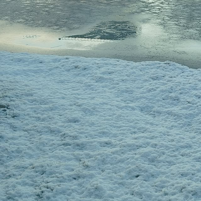 SSSSSさんの部屋