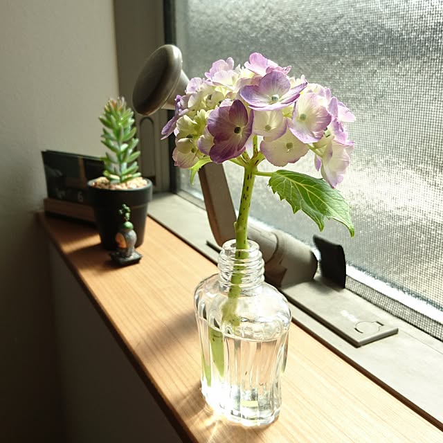 yukoさんの実例写真