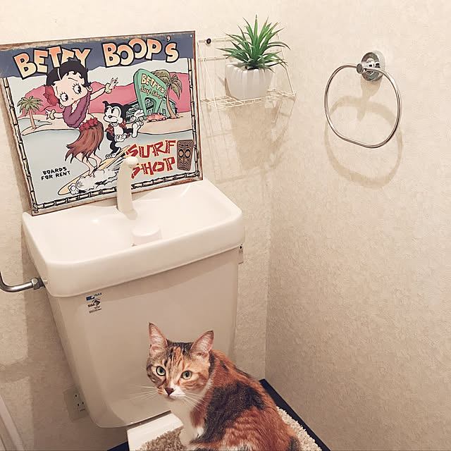 sakiさんの実例写真