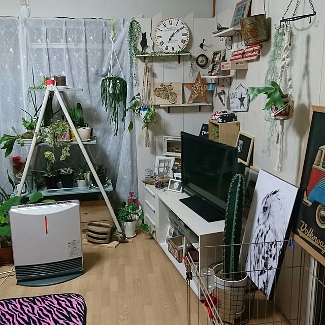 Reiさんの実例写真