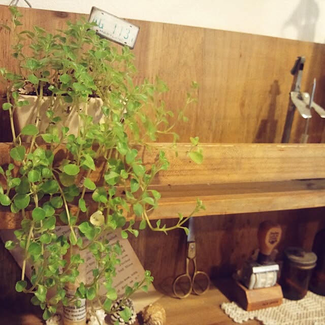 kokkomachaさんの実例写真