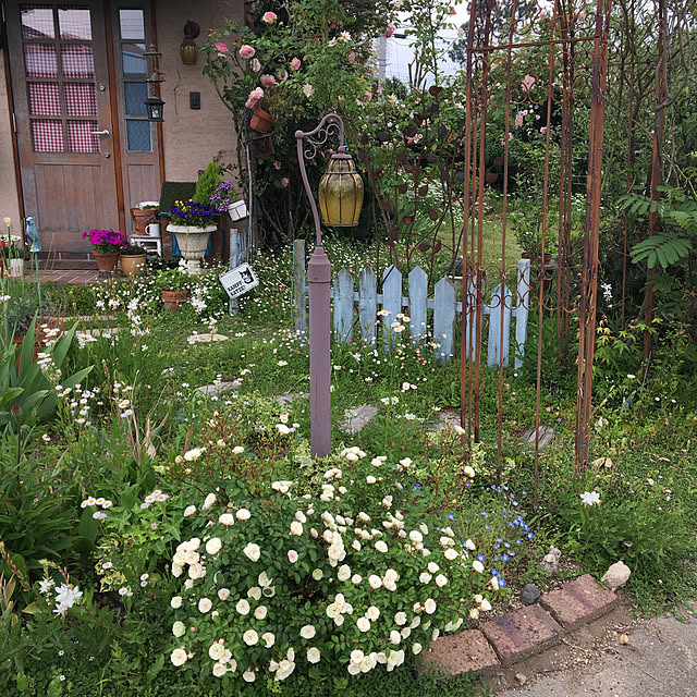 shigimiさんの実例写真