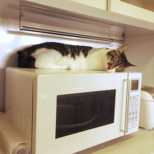 Chiekoさんの実例写真
