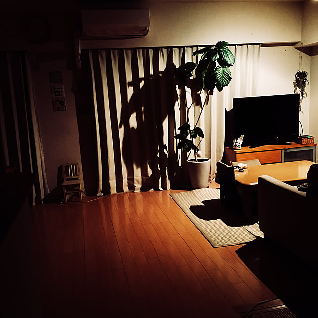 krkrさんの実例写真
