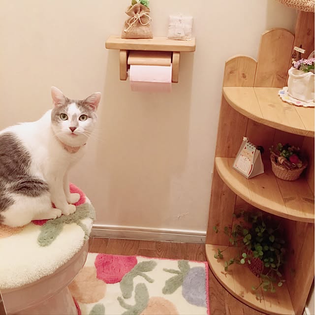 mintcatさんの実例写真