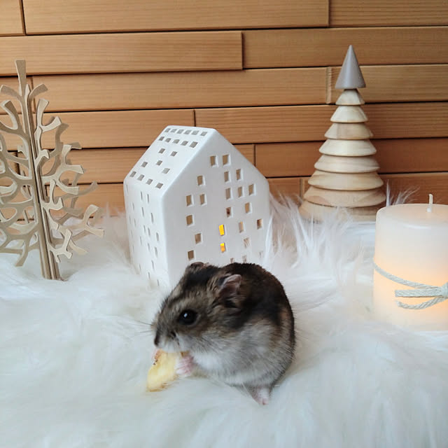 NAOさんの実例写真