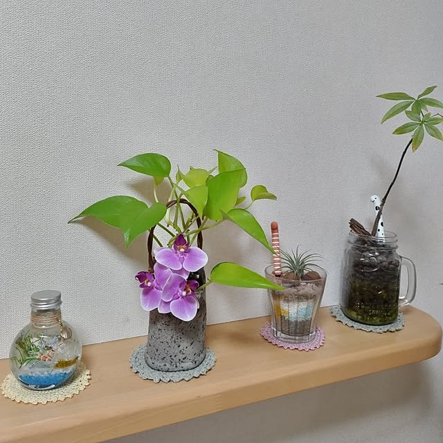 akiwaka-roomさんの部屋