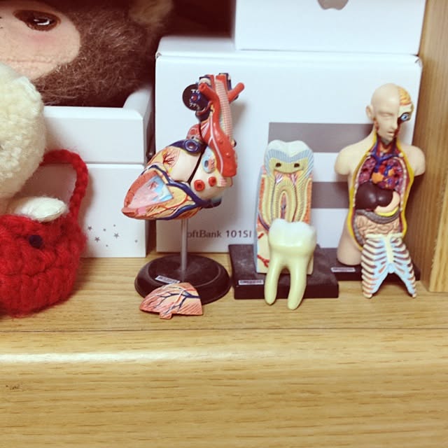 miyoさんの実例写真
