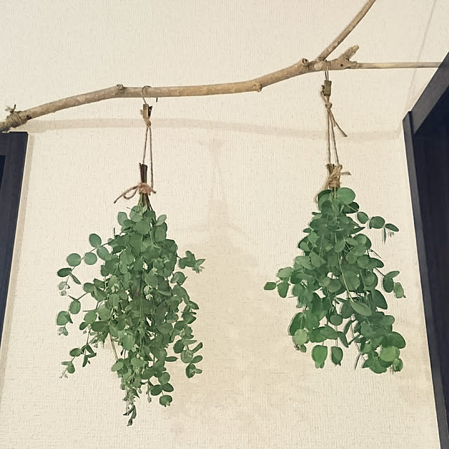 zunnchiさんの実例写真