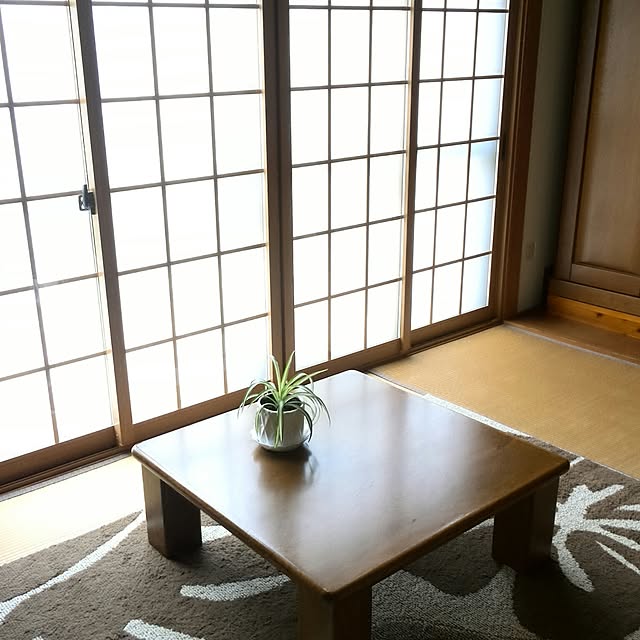 Renさんの実例写真