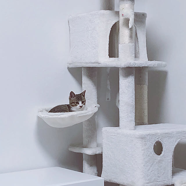 nonohomeさんの実例写真