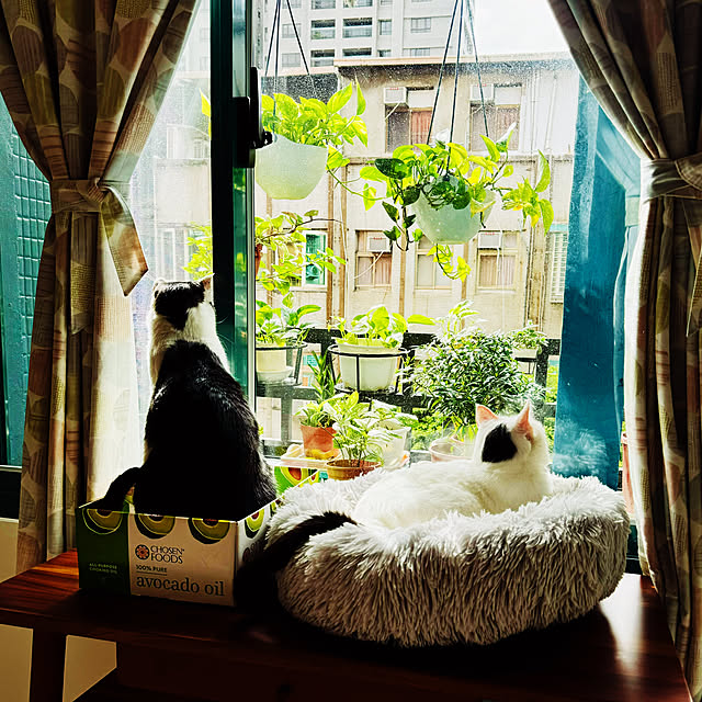 pcu110さんの実例写真