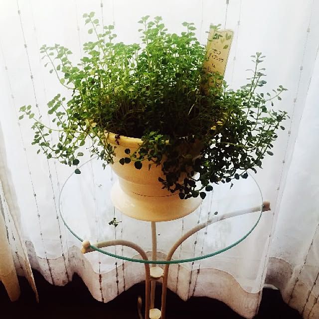 rinさんの実例写真